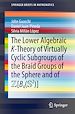 Télécharger le livre :  The Lower Algebraic K-Theory of Virtually Cyclic Subgroups of the Braid Groups of the Sphere and of ZB4(S2)