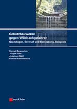 Download this eBook Schutzbauwerke gegen Wildbachgefahren