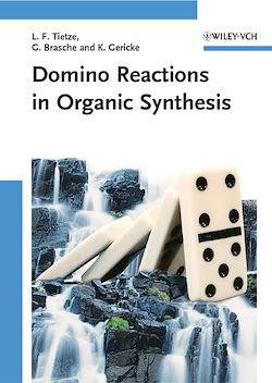 Télécharger le livre :  Domino Reactions in Organic Synthesis