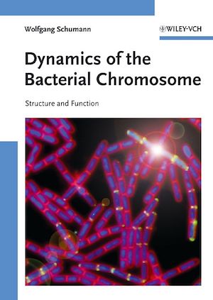 Téléchargez le livre :  Dynamics of the Bacterial Chromosome