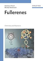 Télécharger le livre :  Fullerenes
