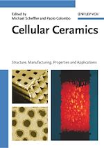 Télécharger le livre :  Cellular Ceramics