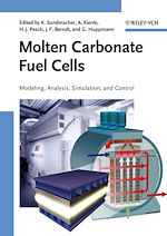 Télécharger le livre :  Molten Carbonate Fuel Cells
