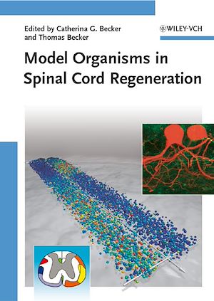 Download the eBook: Model Organisms in Spinal Cord Regeneration
