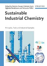 Télécharger le livre :  Sustainable Industrial Chemistry