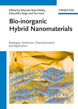 Télécharger le livre :  Bio-inorganic Hybrid Nanomaterials