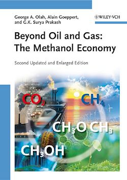Télécharger le livre :  Beyond Oil and Gas