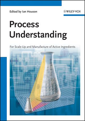 Téléchargez le livre :  Process Understanding