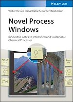Télécharger le livre :  Novel Process Windows