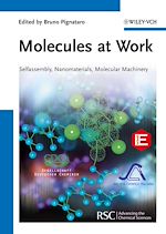 Télécharger le livre :  Molecules at Work