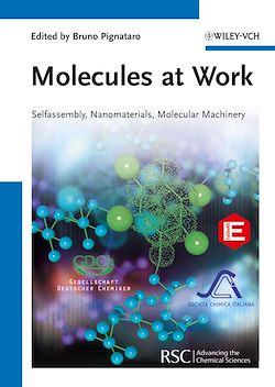 Télécharger le livre :  Molecules at Work