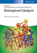 Download this eBook Bioinspired Catalysis