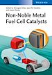 Télécharger le livre :  Non-Noble Metal Fuel Cell Catalysts