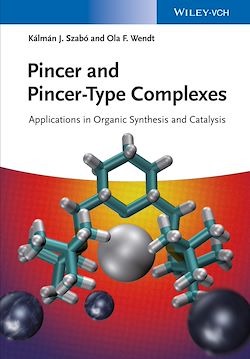 Télécharger le livre :  Pincer and Pincer-Type Complexes