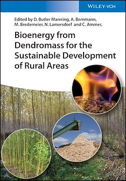 Télécharger le livre :  Bioenergy from Dendromass for the Sustainable Development of Rural Areas