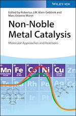 Download this eBook Non-Noble Metal Catalysis