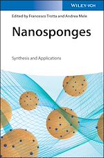 Download this eBook Nanosponges