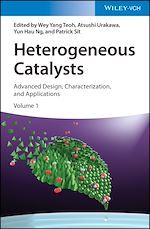 Download this eBook Heterogeneous Catalysts