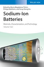 Télécharger le livre :  Sodium-Ion Batteries