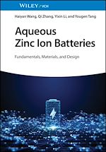 Télécharger le livre :  Aqueous Zinc Ion Batteries