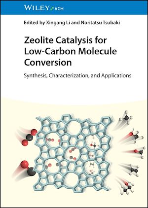 Download the eBook: Zeolite Catalysis for Low-Carbon Molecule Conversion