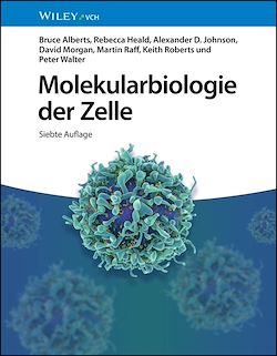Télécharger le livre :  Molekularbiologie der Zelle