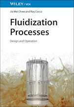 Download this eBook Fluidization Processes