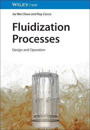 Download the eBook: Fluidization Processes