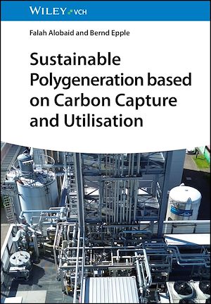 Download the eBook: Sustainable Polygeneration based on Carbon Capture and Utilisation