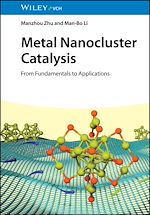 Download this eBook Metal Nanocluster Catalysis