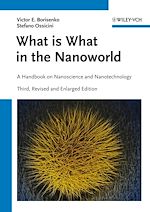 Télécharger le livre :  What is What in the Nanoworld