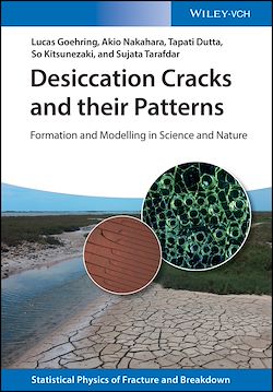 Télécharger le livre :  Desiccation Cracks and their Patterns