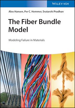 Télécharger le livre :  The Fiber Bundle Model
