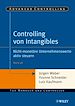 Télécharger le livre :  Controlling von Intangibles