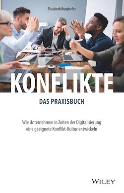 Télécharger le livre :  Konflikte - das Praxisbuch