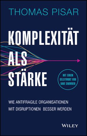 Téléchargez le livre :  Komplexität als Stärke