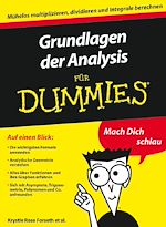 Télécharger le livre :  Grundlagen der Analysis für Dummies