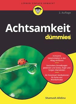Télécharger le livre :  Achtsamkeit für Dummies