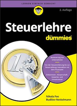 Télécharger le livre :  Steuerlehre für Dummies