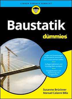 Télécharger le livre :  Baustatik für Dummies