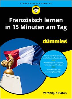 Télécharger le livre :  Französische Grammatik für Dummies