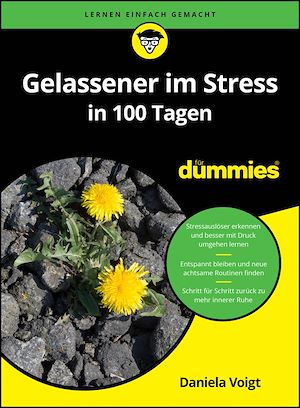 Téléchargez le livre :  Gelassener im Stress in 100 Tagen für Dummies
