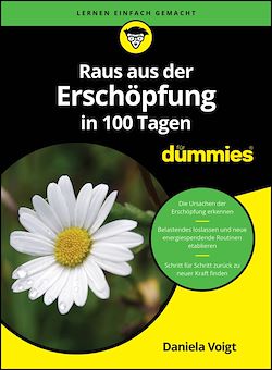 Télécharger le livre :  Raus aus der Erschöpfung in 100 Tagen für Dummies