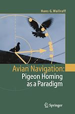 Télécharger le livre :  Avian Navigation: Pigeon Homing as a Paradigm