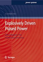 Télécharger le livre :  Explosively Driven Pulsed Power