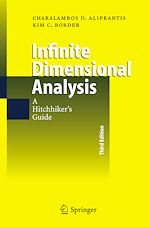 Télécharger le livre :  Infinite Dimensional Analysis