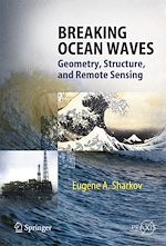 Télécharger le livre :  Breaking Ocean Waves