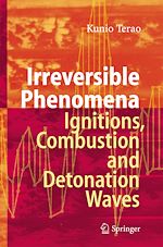 Télécharger le livre :  Irreversible Phenomena