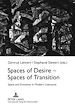 Télécharger le livre :  Spaces of Desire – Spaces of Transition