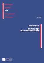 Télécharger le livre :  Kelsen im Spiegel der italienischen Rechtslehre